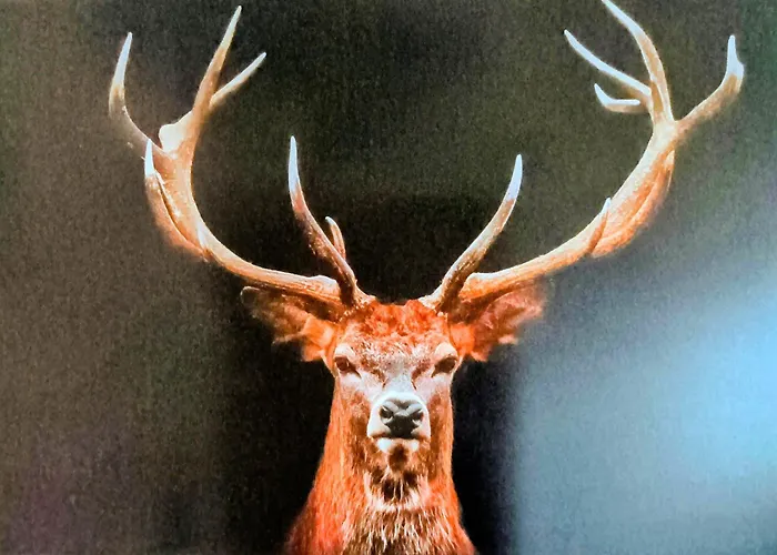 Apartment Au Coin Du Bois